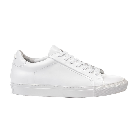 1WM.png