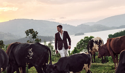 Floris van Bommel in a dark brown blazer and white trousers, walks among grazing cows on a grassy hill overlooking a lake and mountains at sunset.